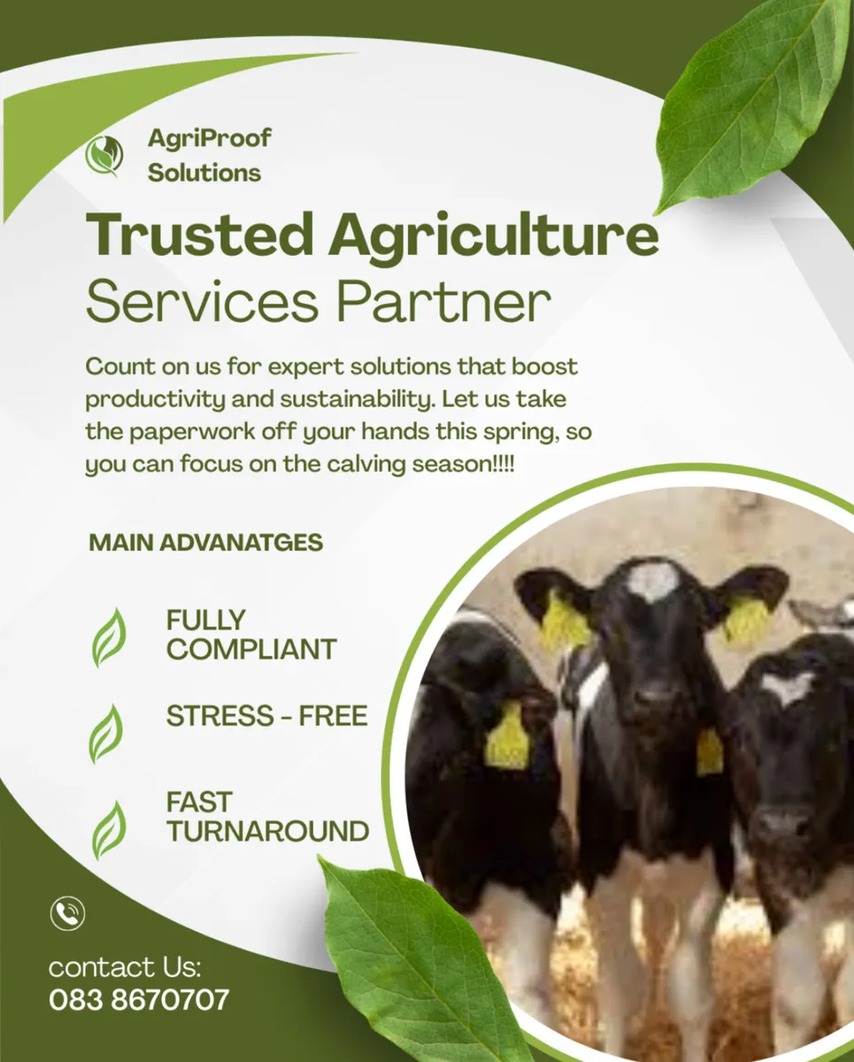 Bord Bia preparation & General farm paperwork - Image 1