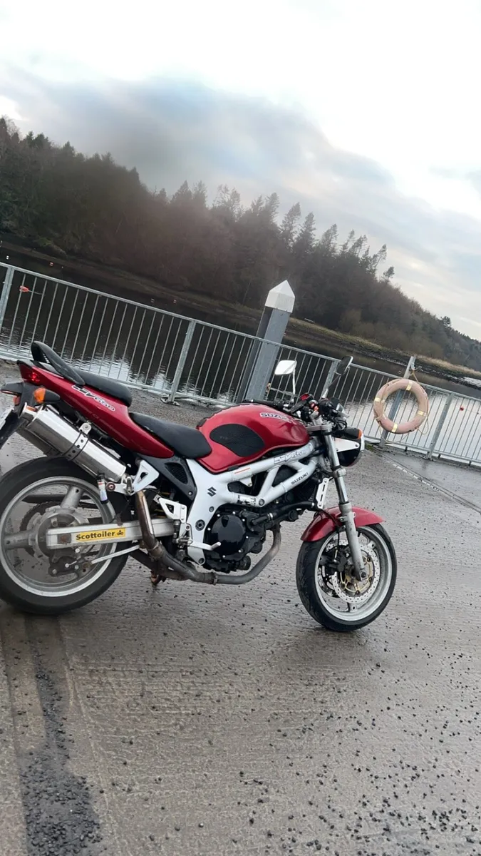 Suzuki sv650 - Image 1