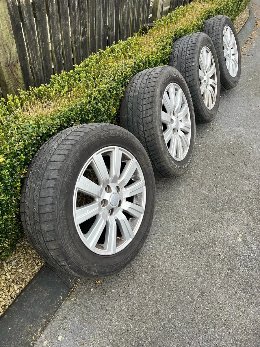 Genuine Discovery 4 Alloys - Image 2