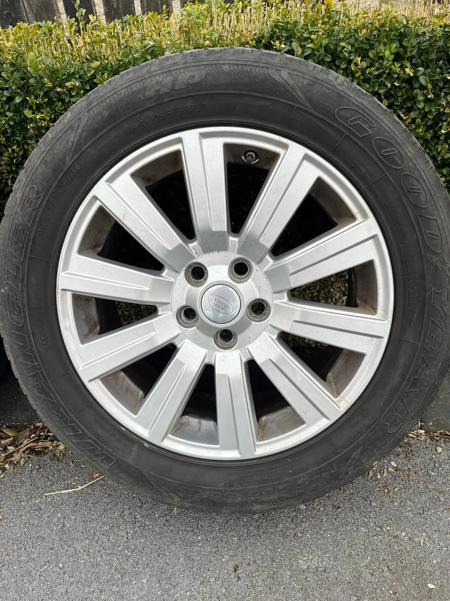 Genuine Discovery 4 Alloys - Image 4