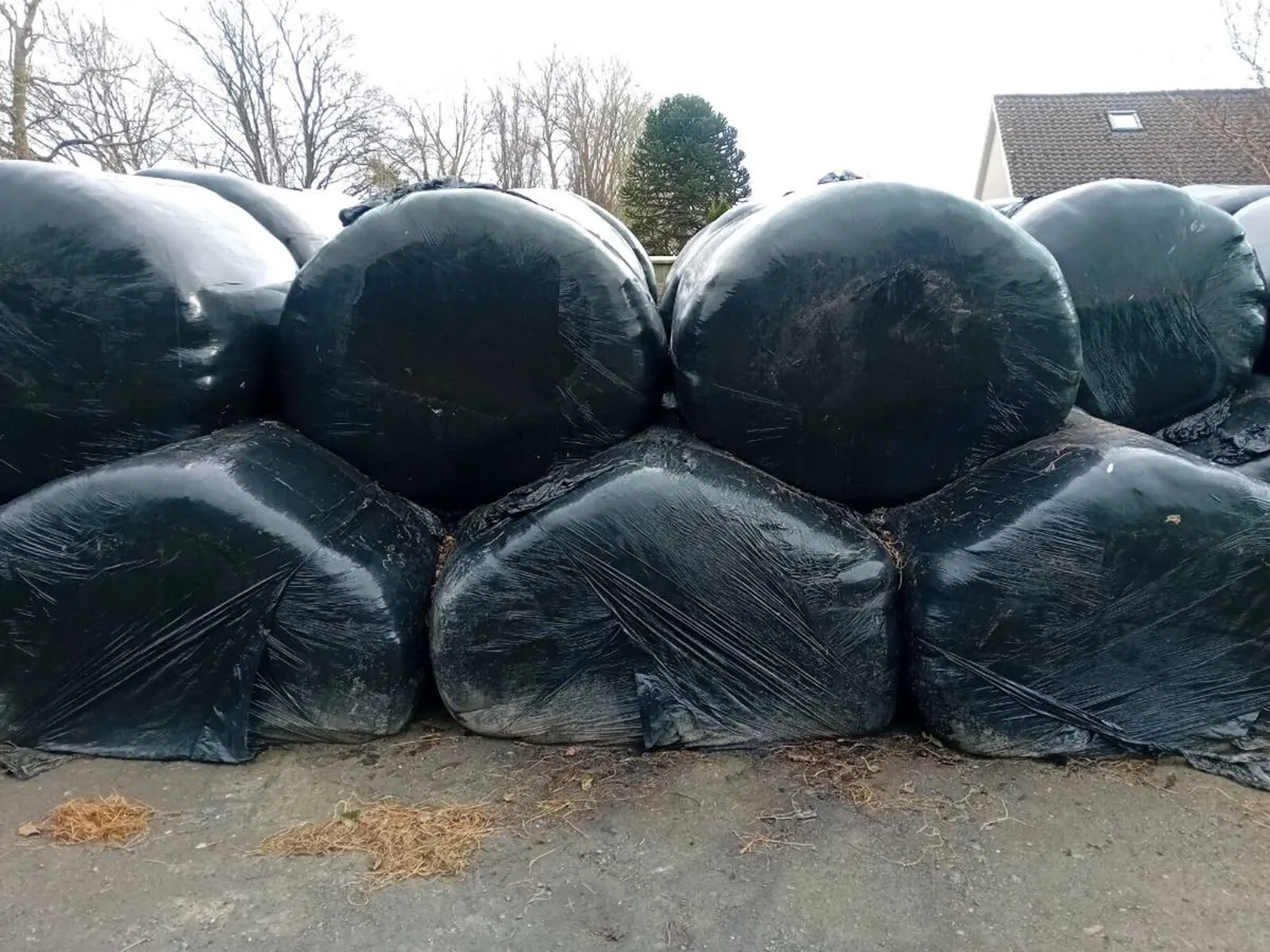 Silage Bales - Image 1