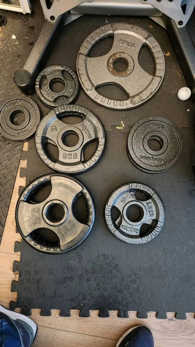 Bowflex dumbells and stand - Image 2