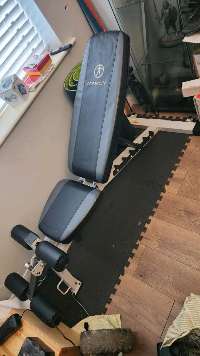 Bowflex dumbells and stand - Image 4