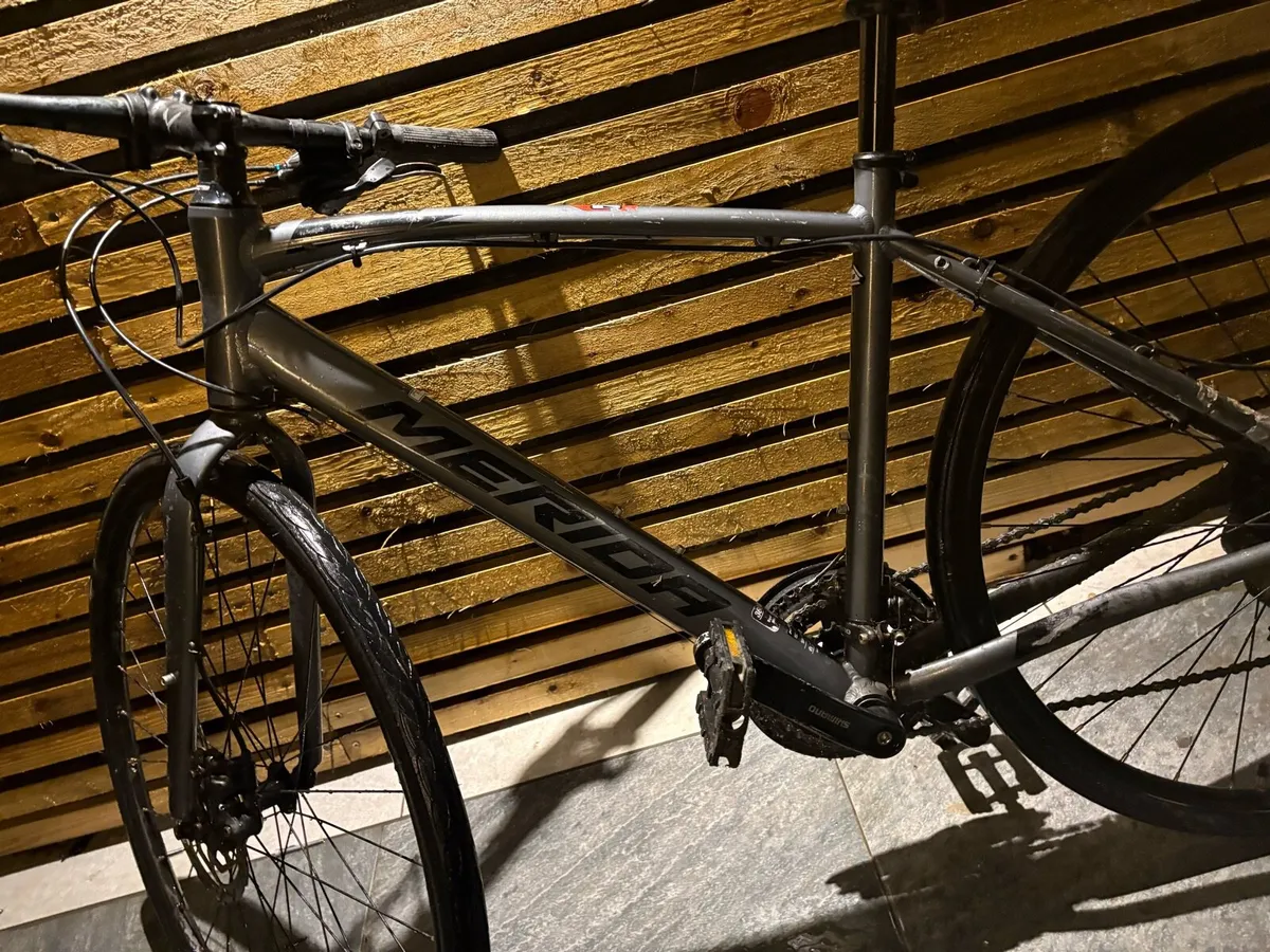 Mint Merdia Speeder 2024 - Image 2