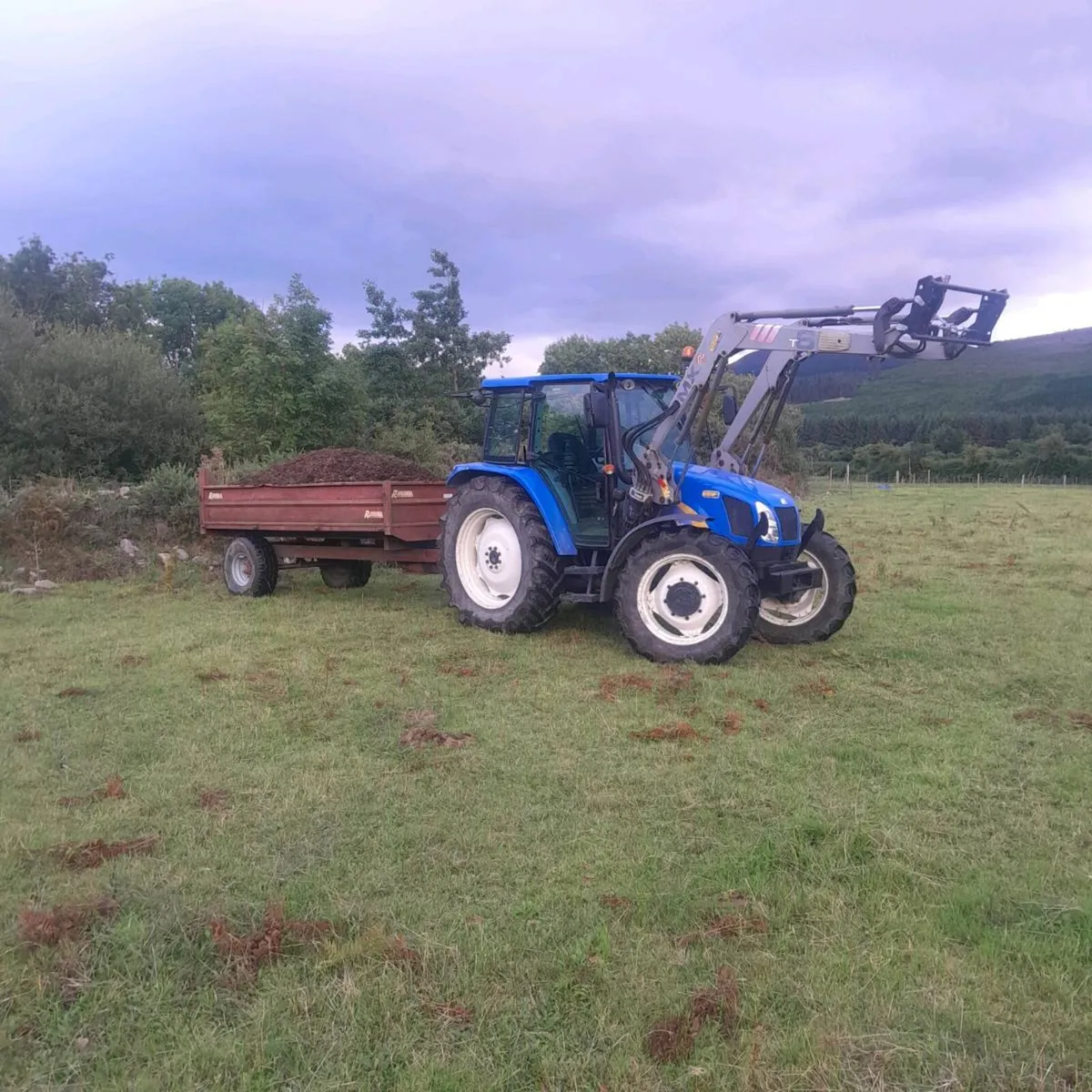 Mushroom compost delivered - Image 3