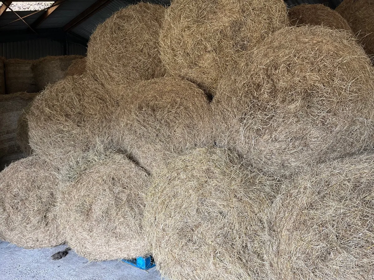 Hay  and Haylage