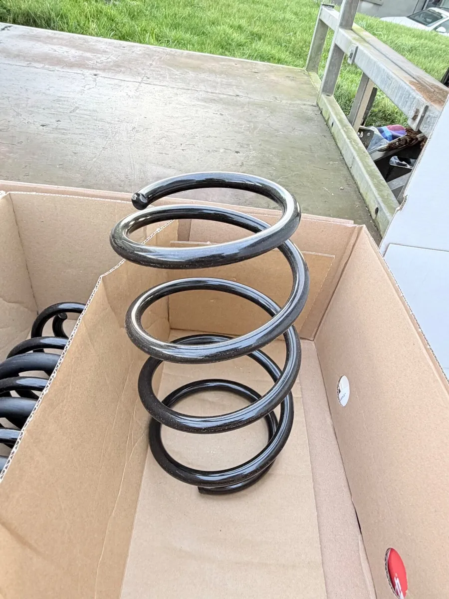 Eibach Springs - Image 3