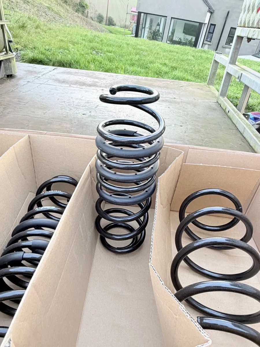 Eibach Springs - Image 4