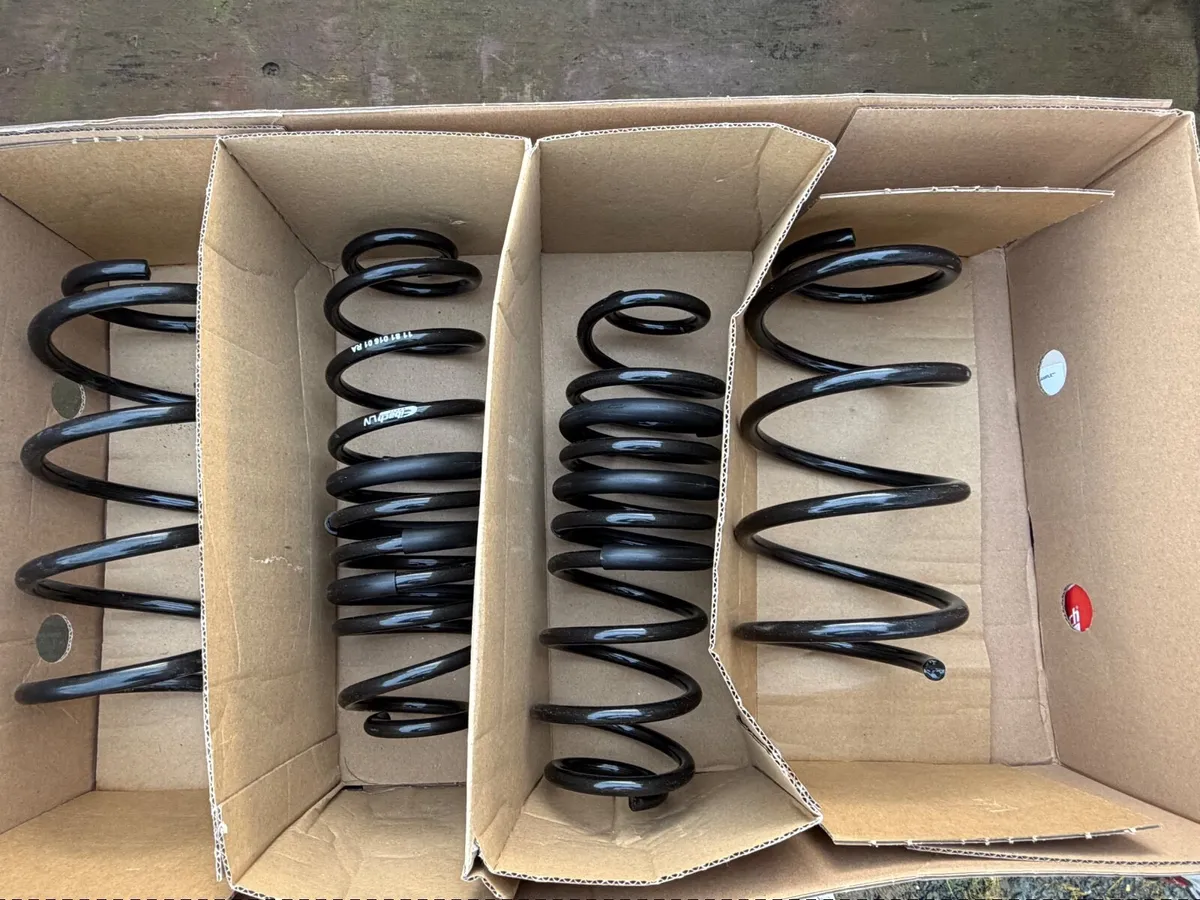 Eibach Springs - Image 1