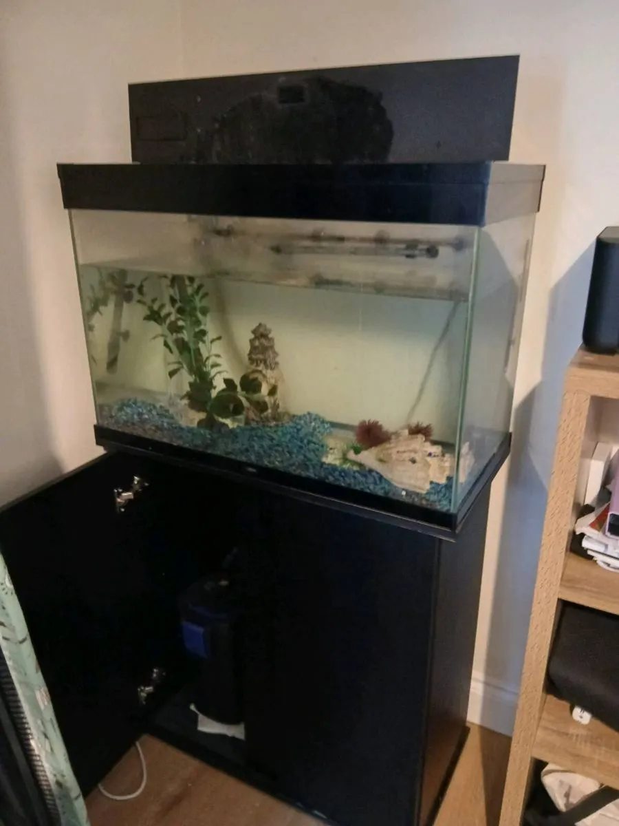 Fish tank