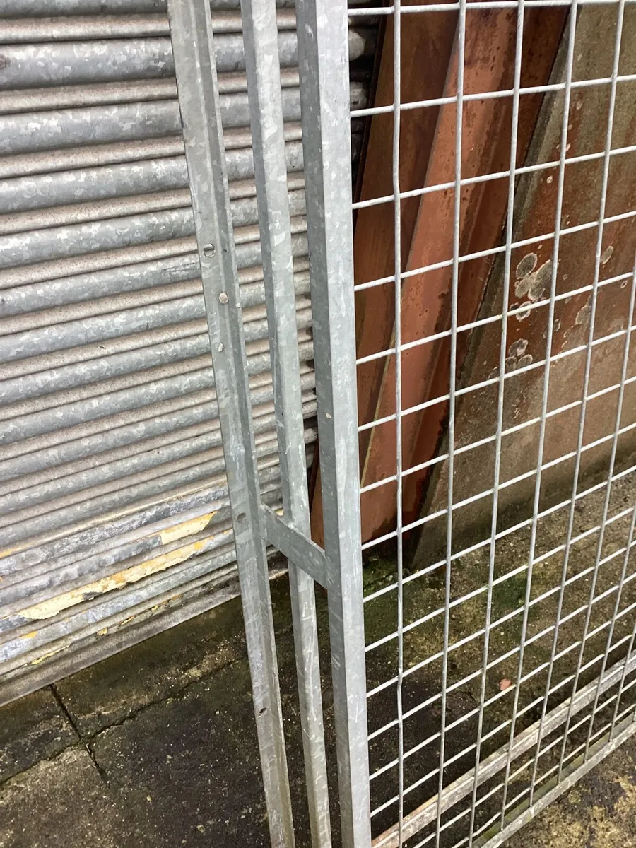 Galvanised Window Guard - Image 4