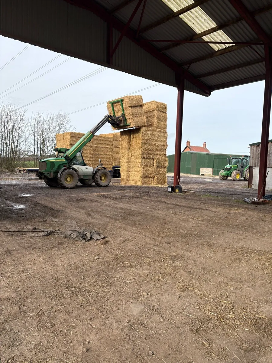 Looking for chopped Barley straw in 8x4x3s - Image 1