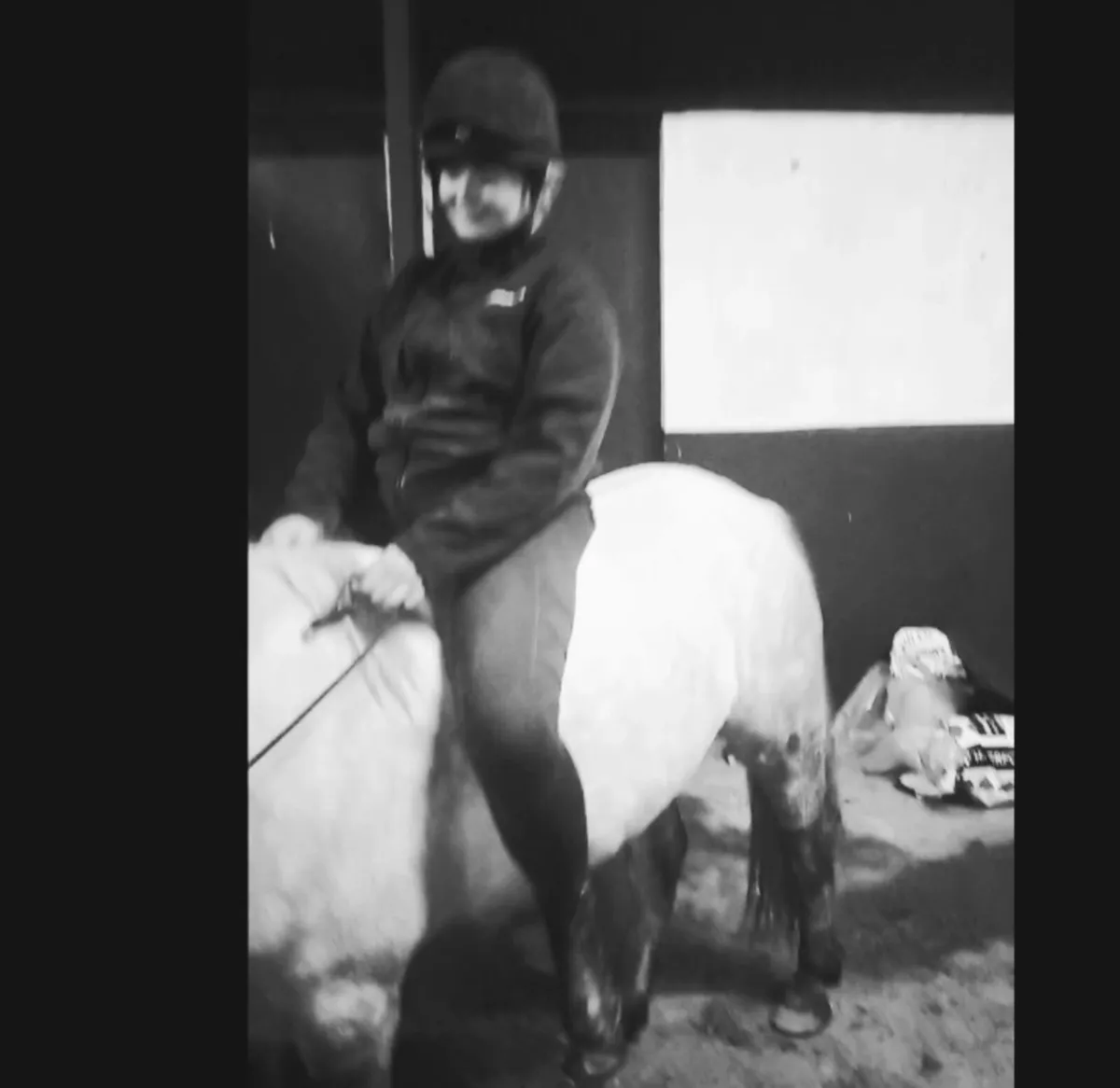 14.1 approx Connemara gelding - Image 4