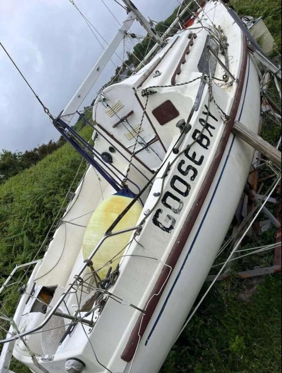 Pandora 22 - Image 2