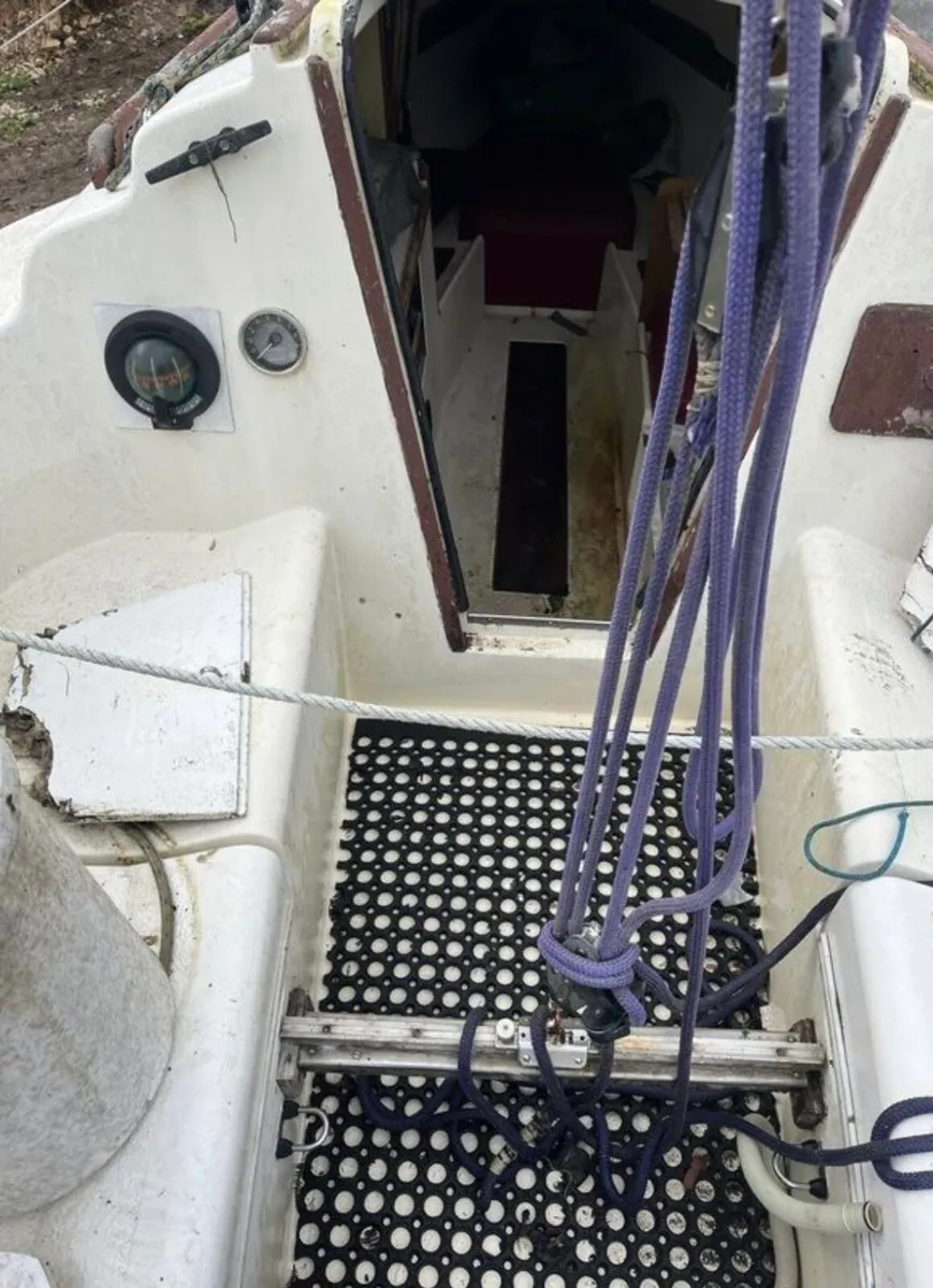 Pandora 22 - Image 3