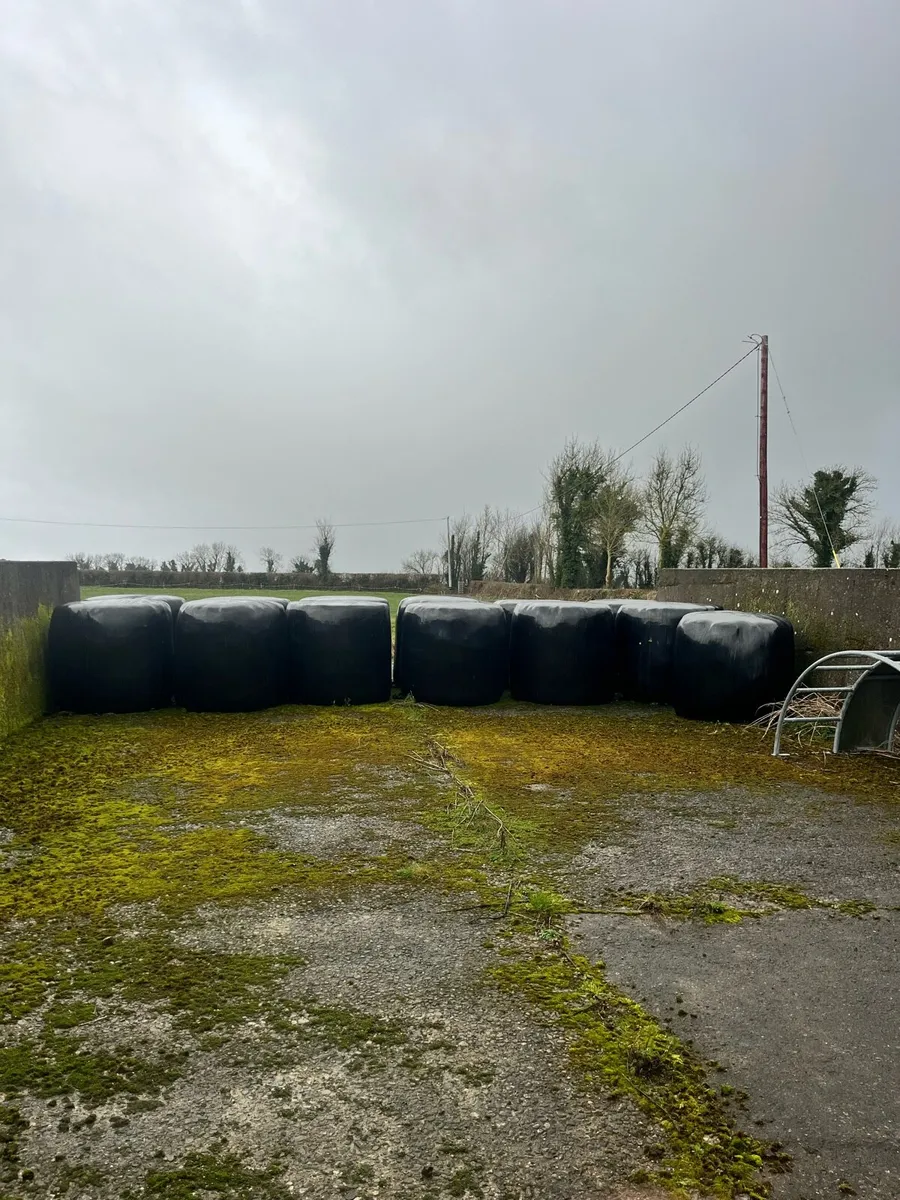 Bales of Silage - Image 1