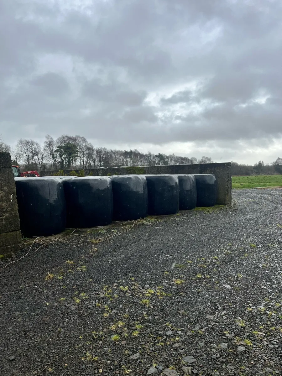 Bales of Silage - Image 2