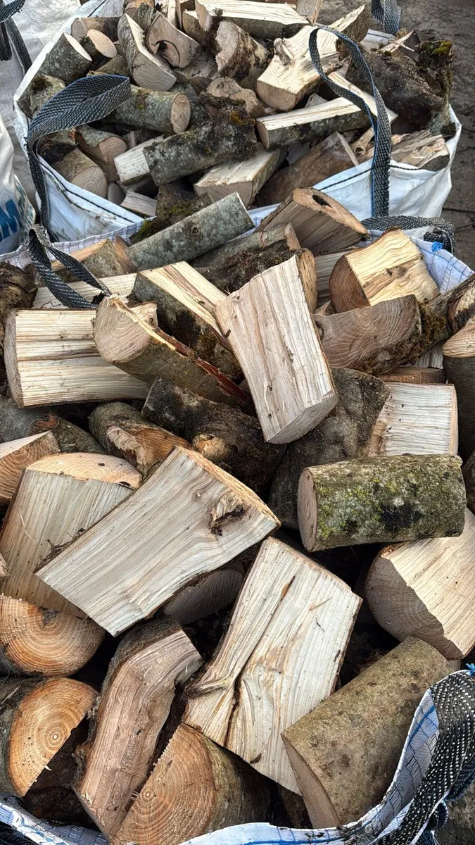 Firewood - Image 1