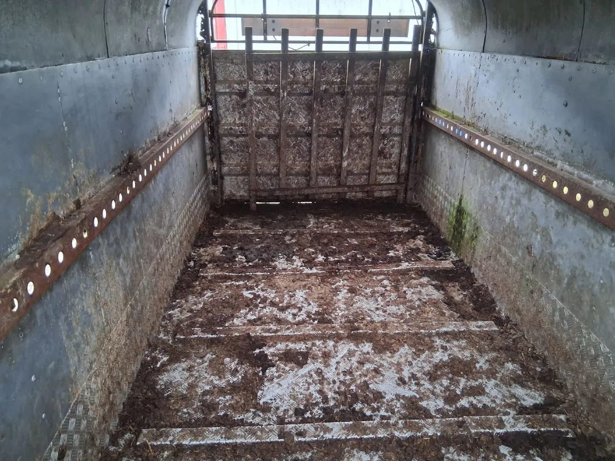 Cattle Trailer - Image 4
