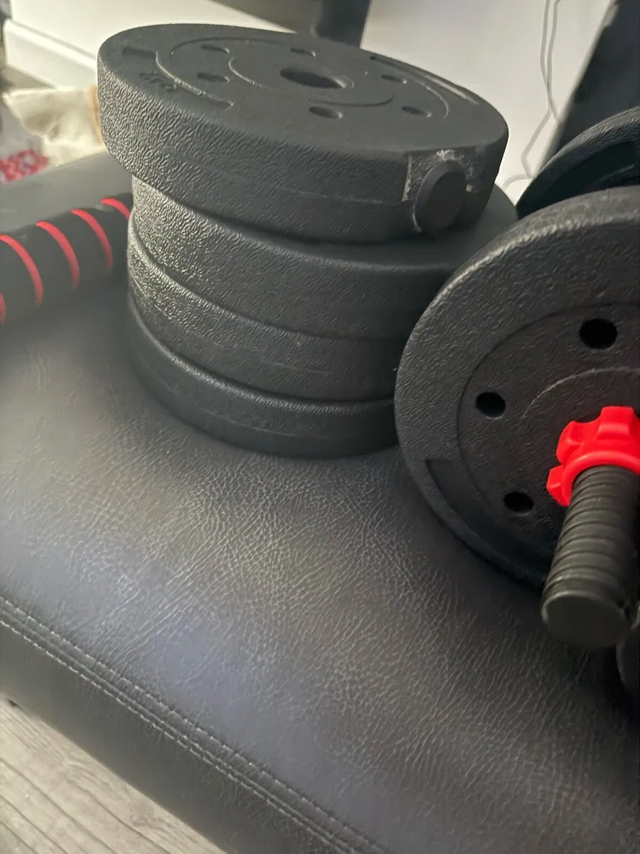Weights - Image 4