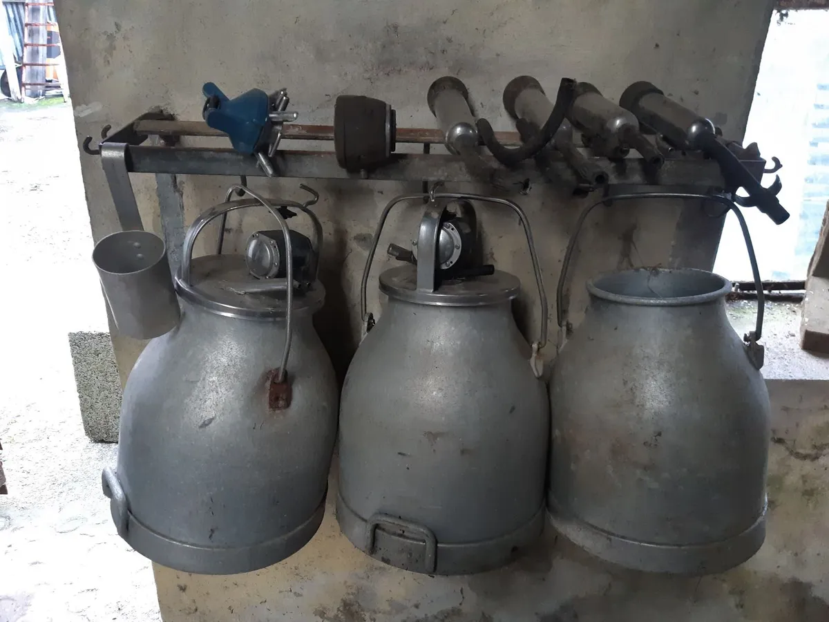 Milking machine, & Buckets  pulsators parts ect. - Image 3