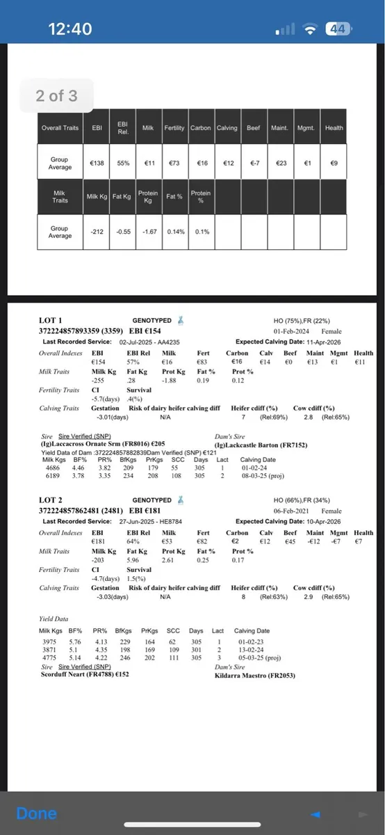 4 April calvers - Image 2