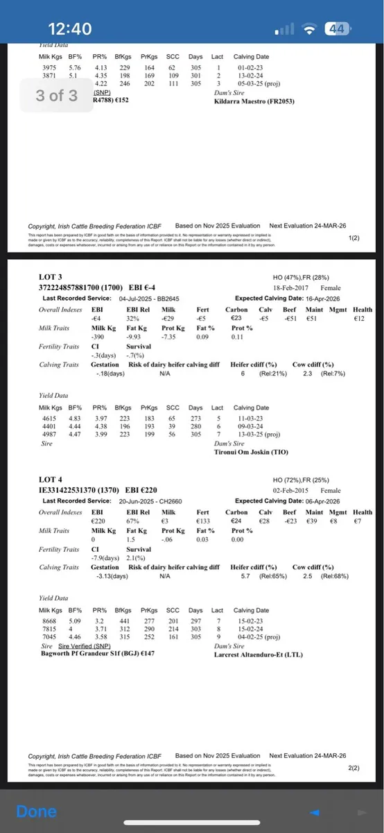 4 April calvers - Image 3