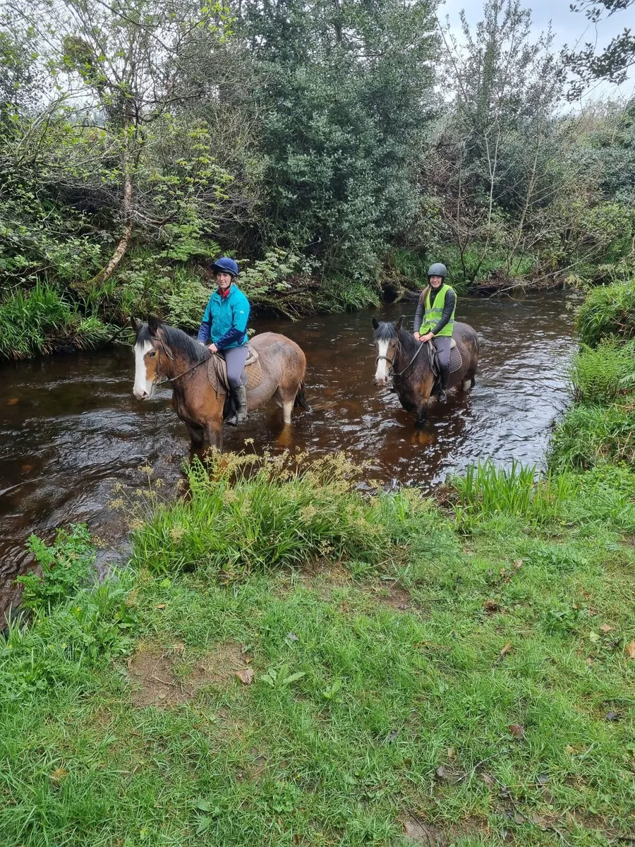 Smashing Cob - Image 1