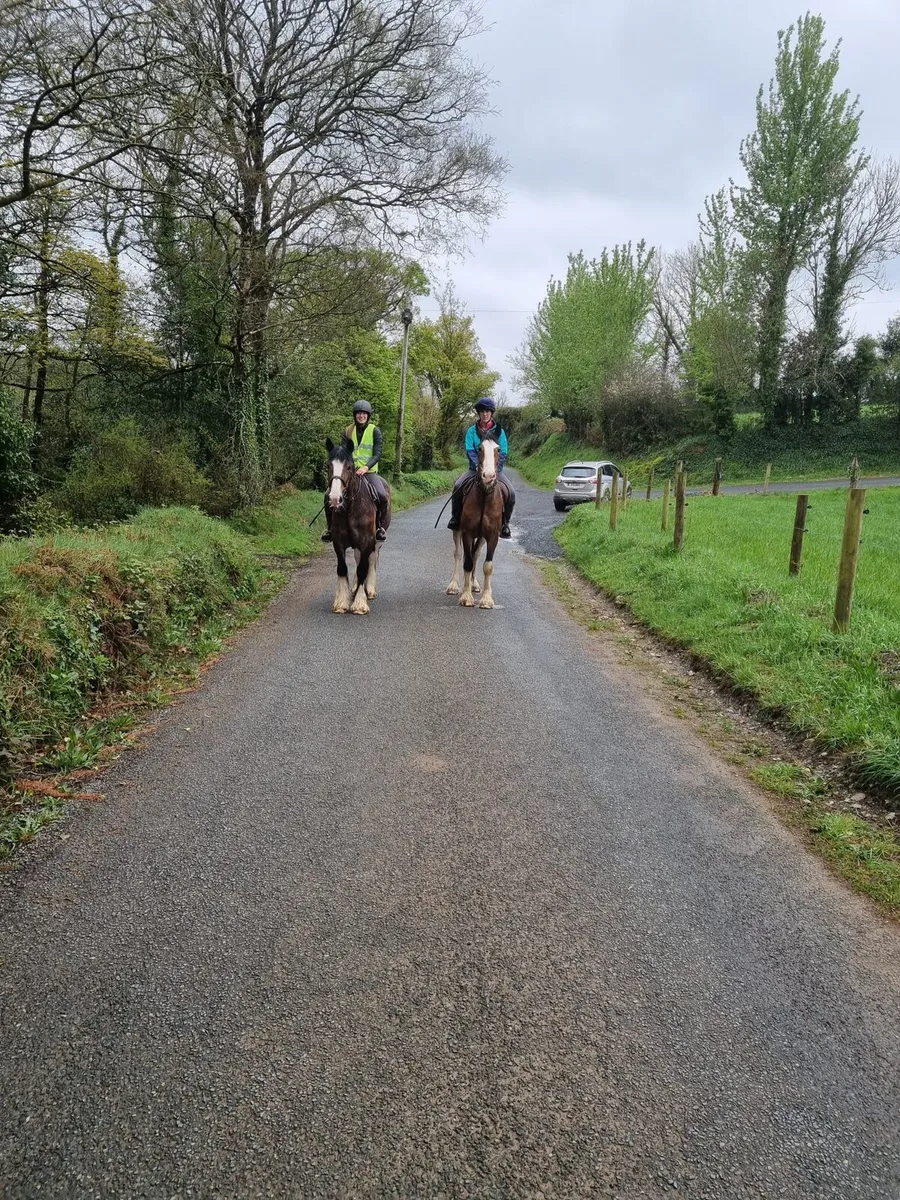 Smashing Cob - Image 2