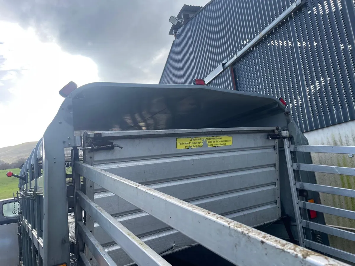 14 foot immaculate Ifor Williams Trailer. - Image 2