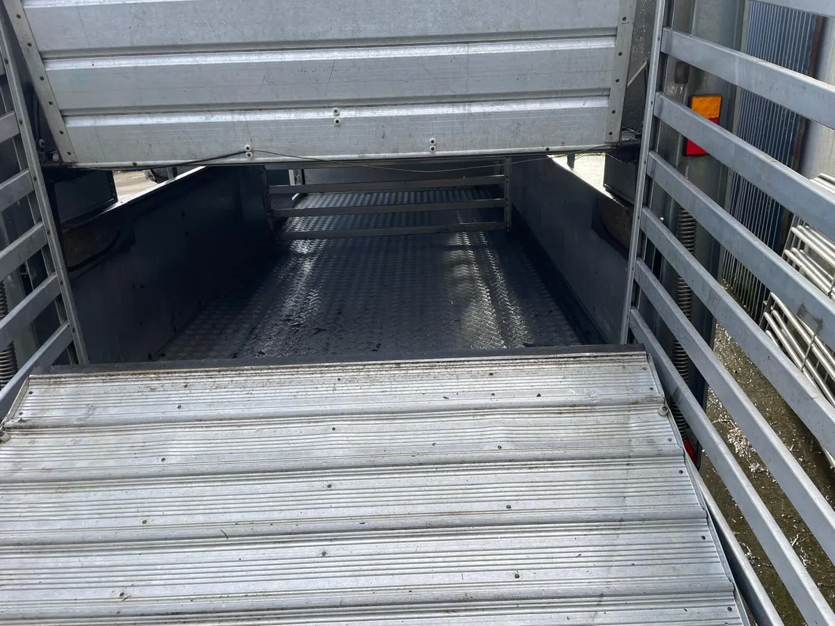 14 foot immaculate Ifor Williams Trailer. - Image 3