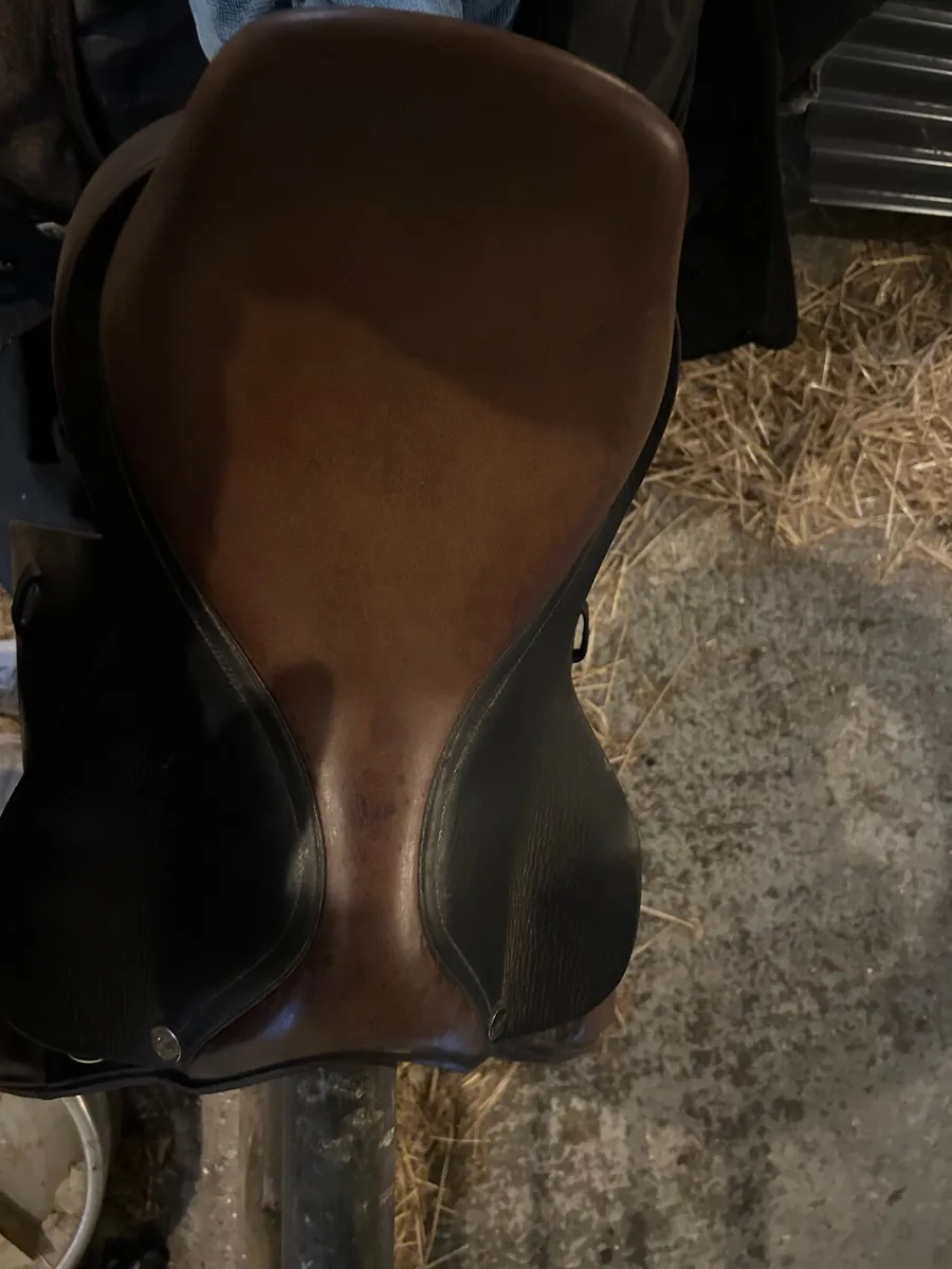 17 inch Gp Saddle - Image 2