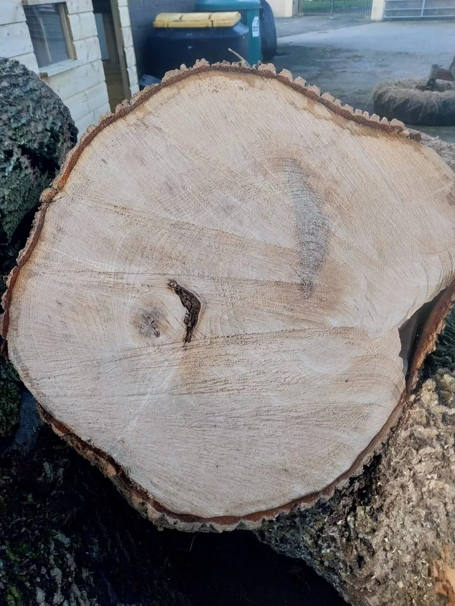 Firewood For Sale - Image 3