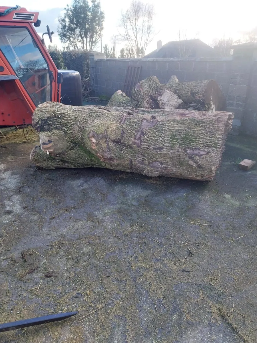 Firewood For Sale - Image 1