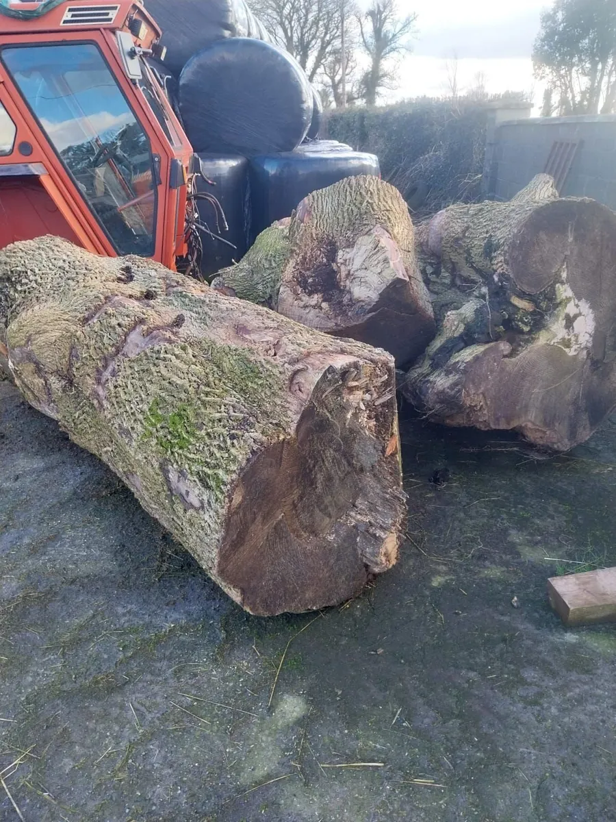 Firewood For Sale - Image 4