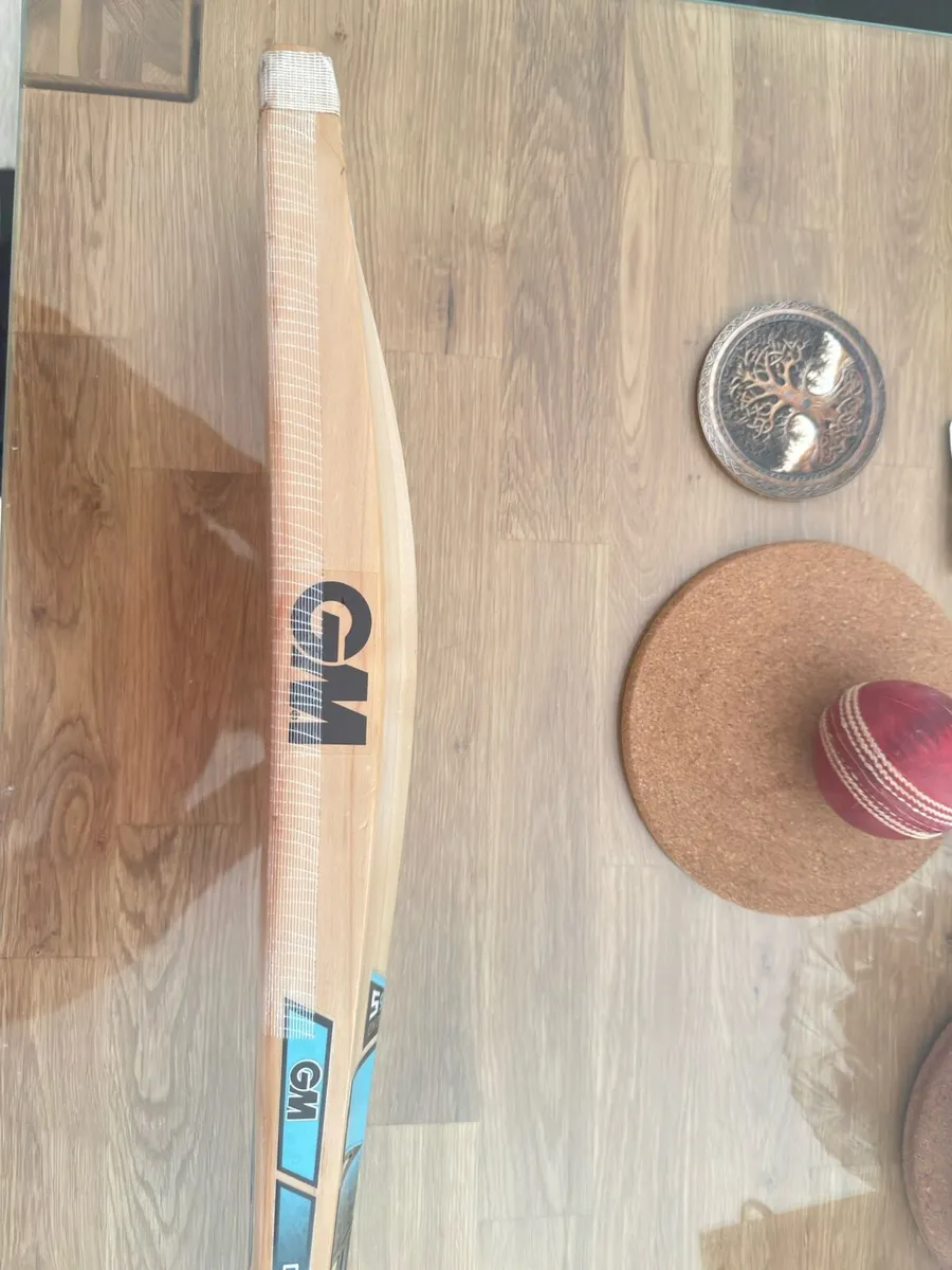 GM 404 English willow cricket bat - Image 4