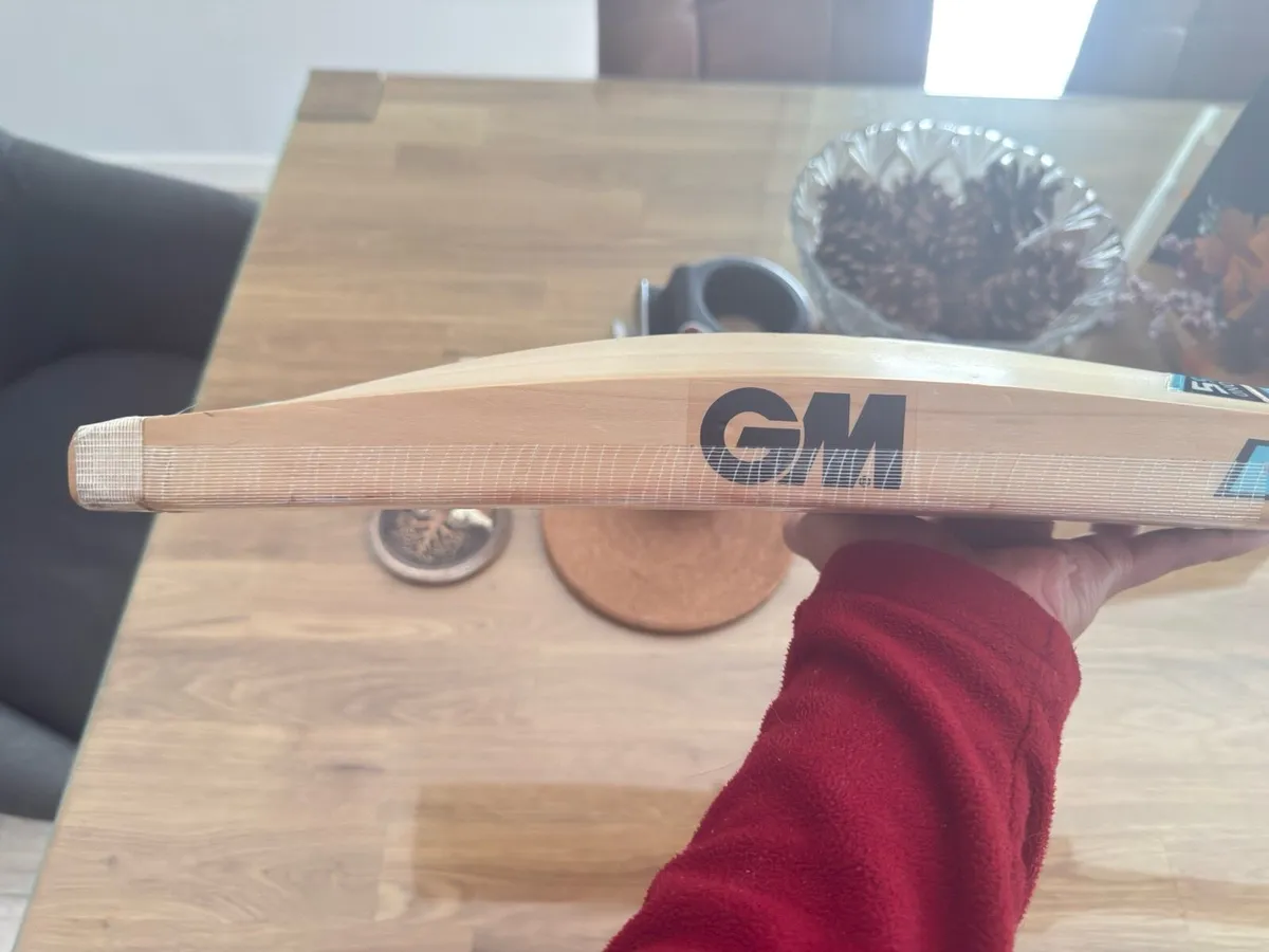 GM 404 English willow cricket bat - Image 2