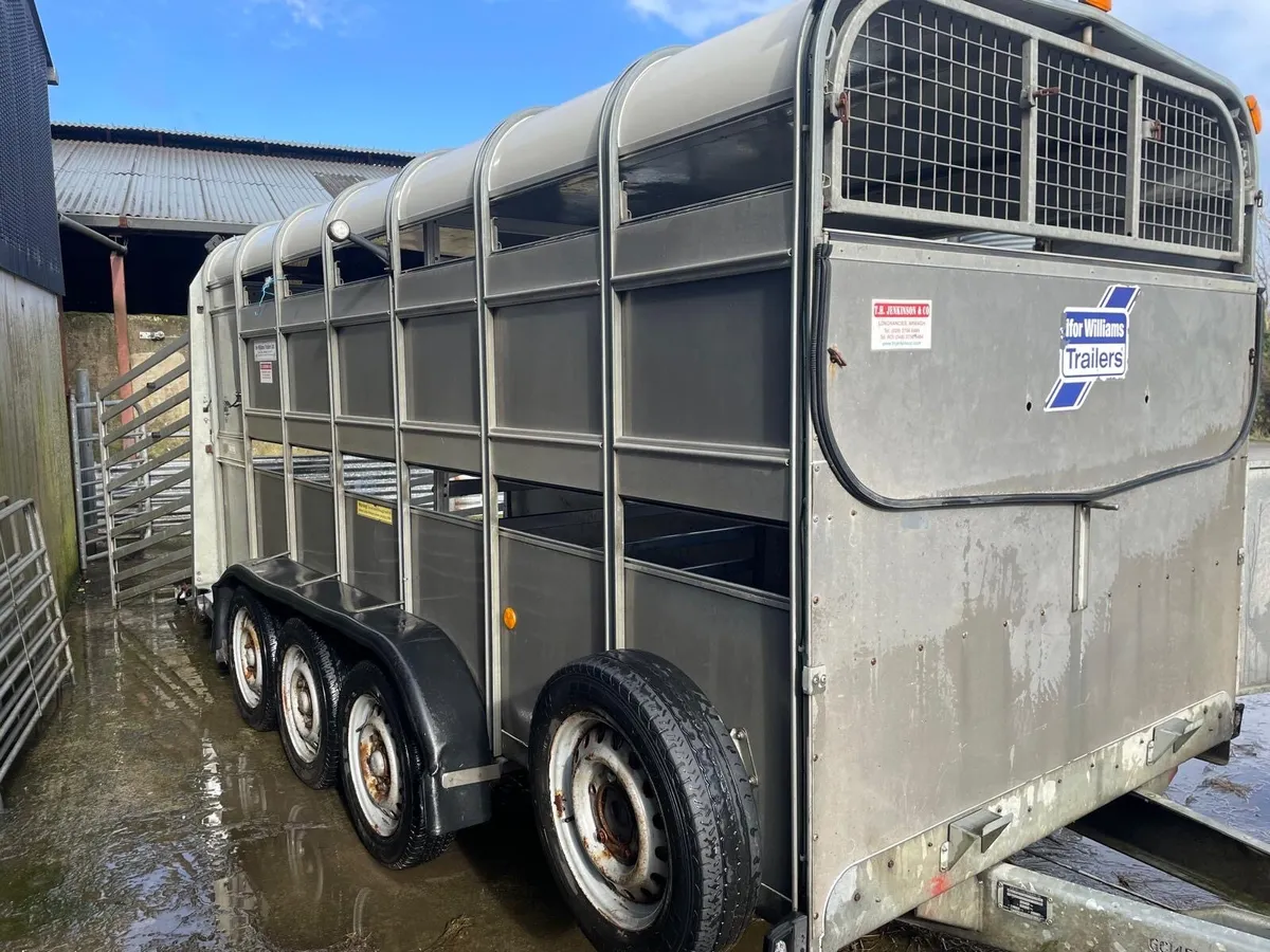 14 foot immaculate Ifor Williams trailer. - Image 1