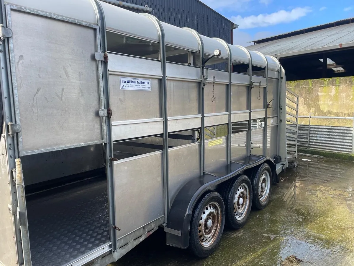 14 foot immaculate Ifor Williams trailer. - Image 2