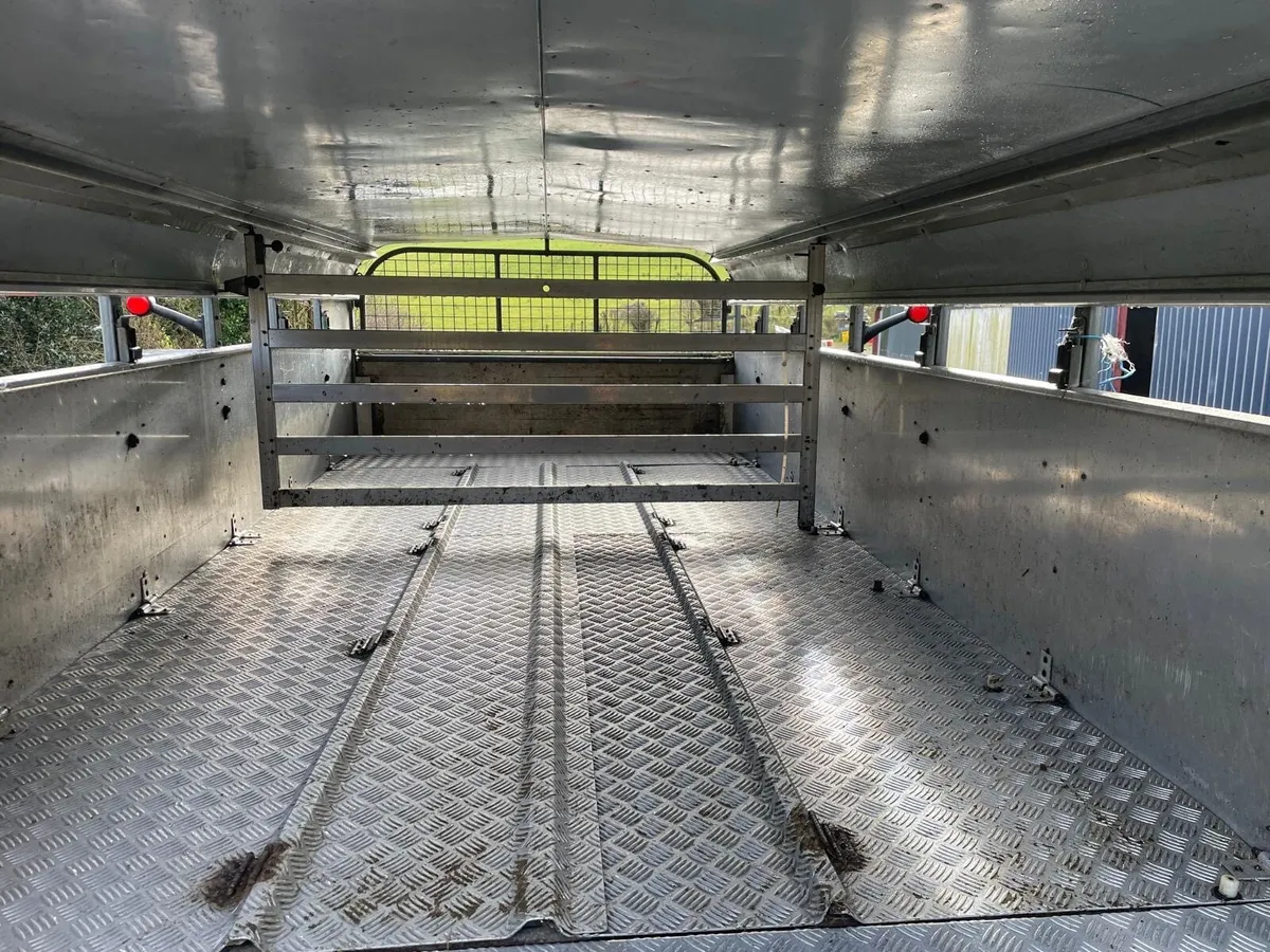 14 foot immaculate Ifor Williams trailer. - Image 4