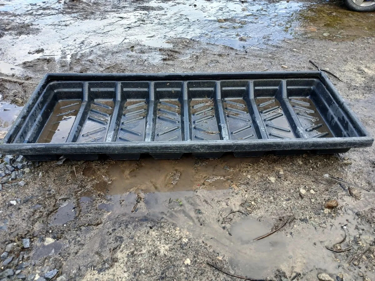 Yard scraper and hoof bath - Image 2