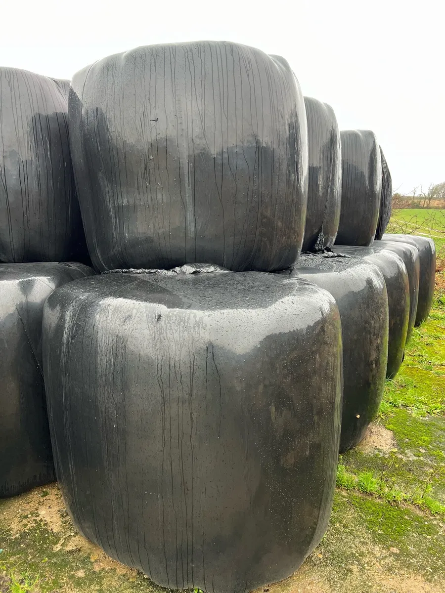 Haylage - Doubled wrapped - Image 2