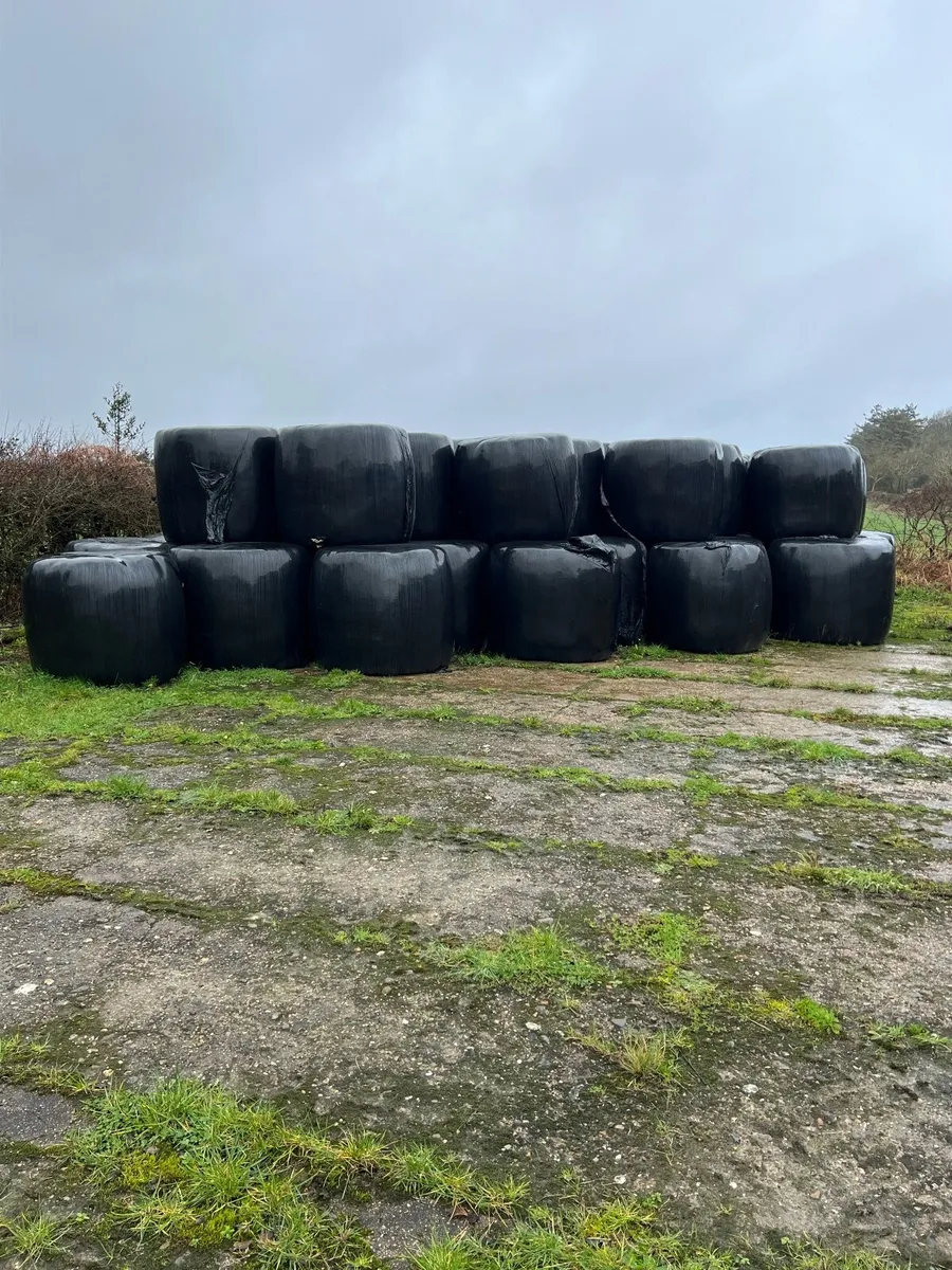 Haylage - Doubled wrapped - Image 1