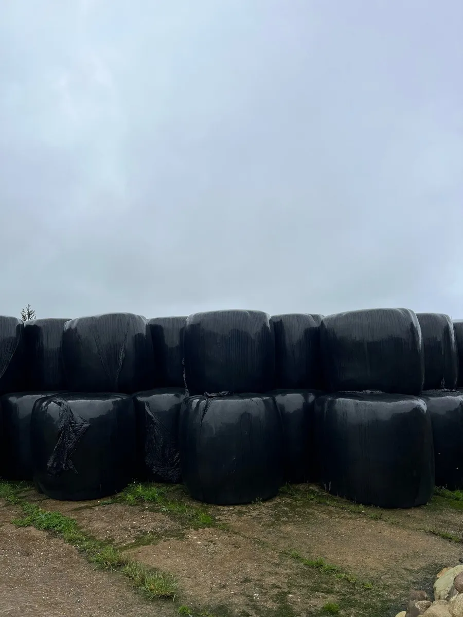 Haylage - Doubled wrapped - Image 3