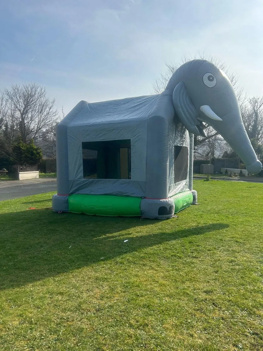 Bounce castle - Image 1