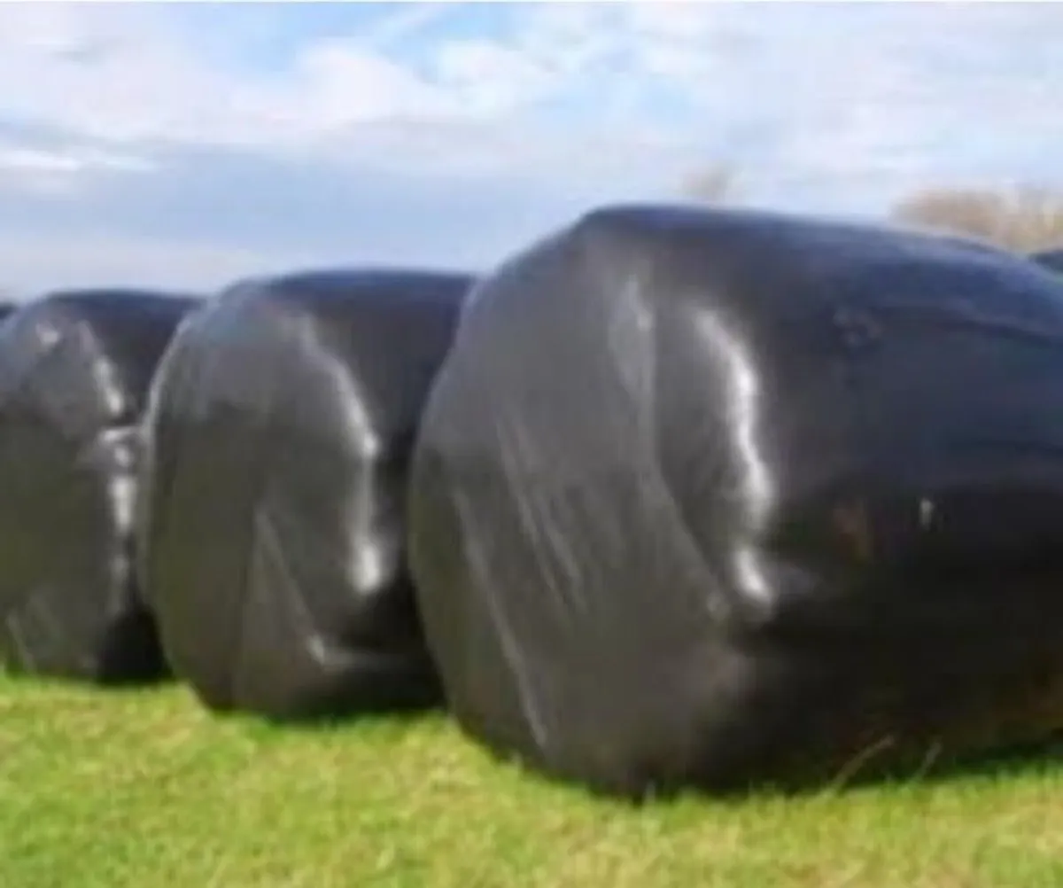 Silage bales
