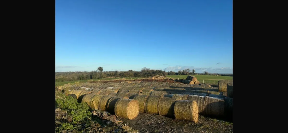 Round bales of straw - Image 2