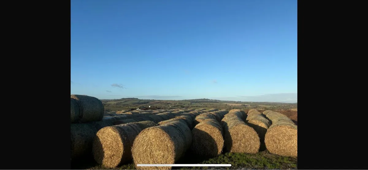 Round bales of straw - Image 1