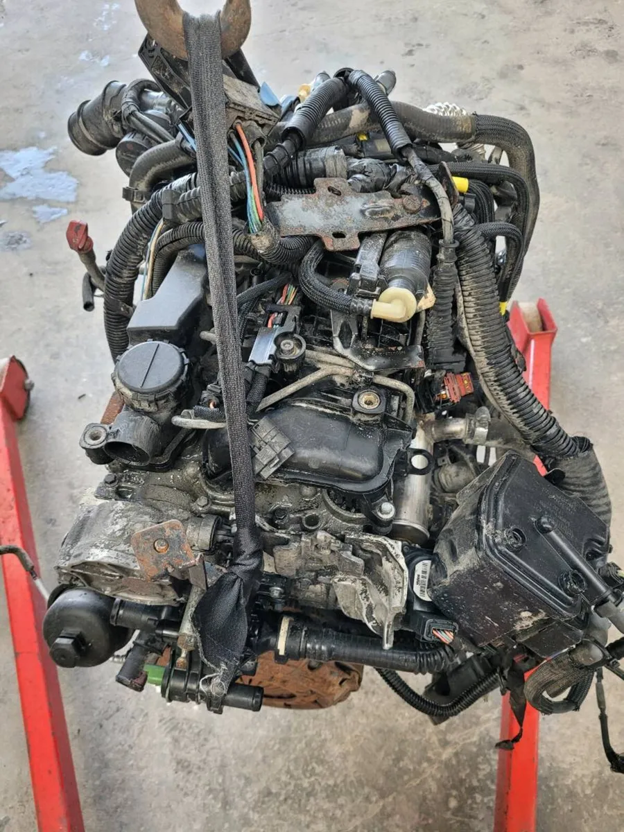 Engine Focus Berlingo  Partner Dispatch - Image 2