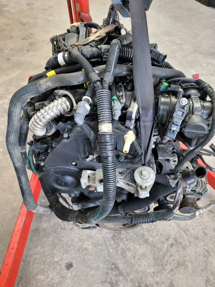 Engine Focus Berlingo  Partner Dispatch - Image 3